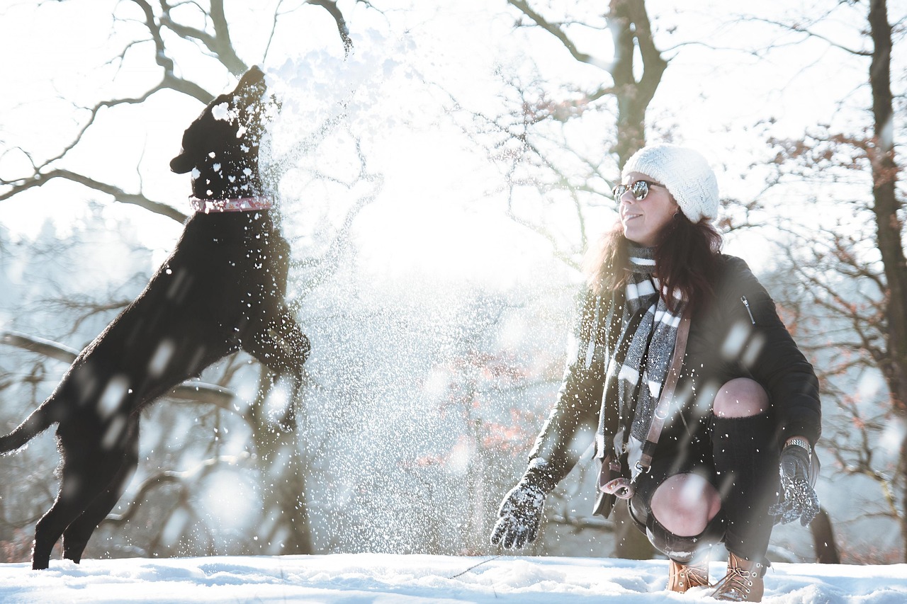 雪中悍刀行在线免费观看，江湖武侠的视听盛宴